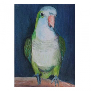 Parrot Oil Painting