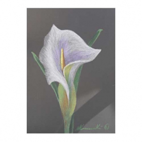 Lily in Lavender Pencil & Oil Pastel Lily in Lavender Pencil & Oil Pastel