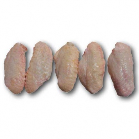 Mid Joints Mid Joints