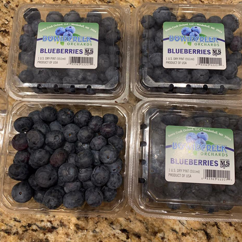 Blueberries, Fresh