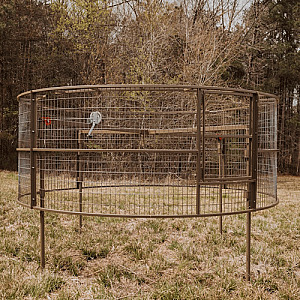 Big Pig Drop Trap