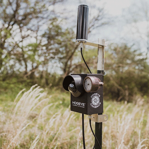 HogEye Camera System