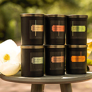 Avenues Collection
