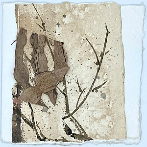 Collage 2
