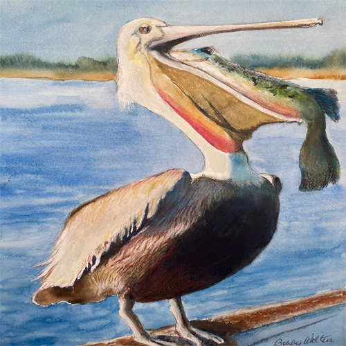 A Bit More Off Than I Can Chew