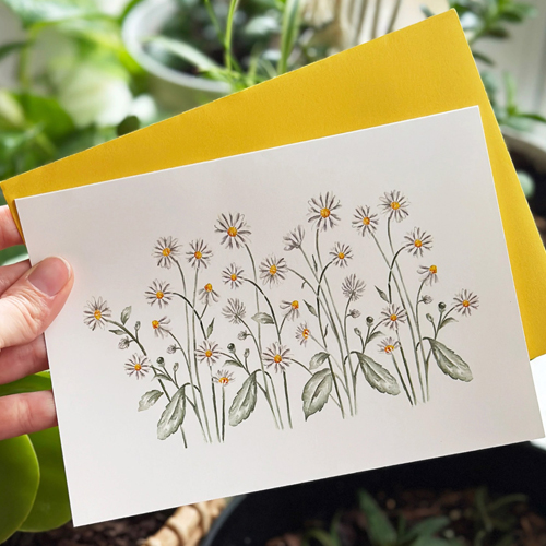 Daisies Card