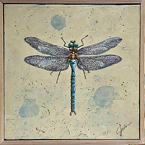 Dragonfly
