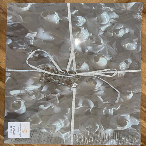 Art Print Paper Placemats