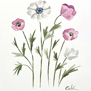 Anemones
