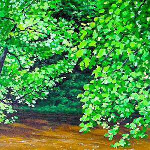 Tibbee Creek