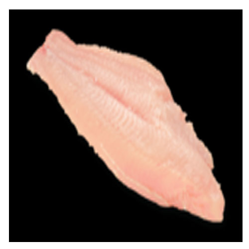 Catfish Fillets