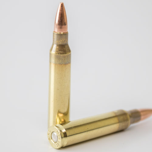 Rem .223 55gr FMJ-BT