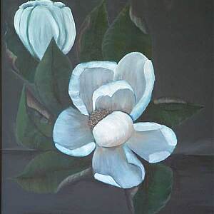 Magnolia Oil Painting
