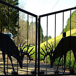 Decorative Entry Gate