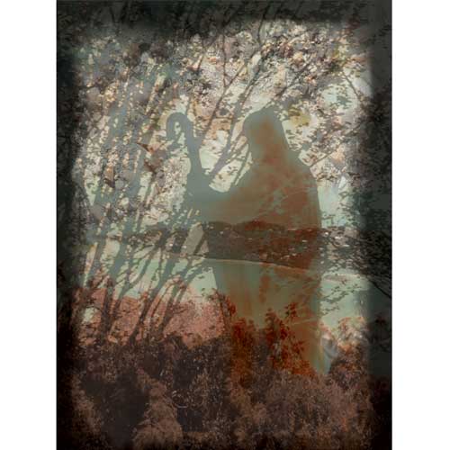 Sheperd Landscape Collage