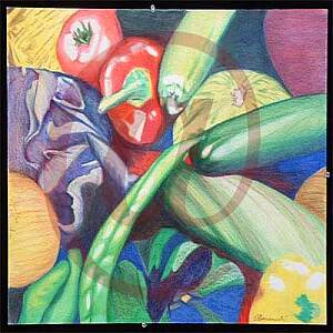 Vagies Color Pencil